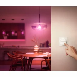 Luminaires Philips interrupteur Philips Hue Tap Dial Blanc