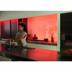 Luminaires Philips Kit de base Philips Hue Ambiance White & Color Lightstrip Plus LED, 1 lumière, Changeur de couleurs