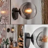 hofstein Koyoto Boule lumineuse, Applique murale, Spot mural Clair, Fumé, 1 lumière