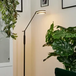 hofstein Lampadaire Huallilemu LED Anthracite, 1 lumière