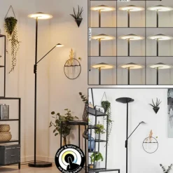 hofstein Lampadaire à vasque Choupico LED Noir, 2 lumières