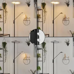 hofstein Lampadaire à vasque Choupico LED Noir, 2 lumières