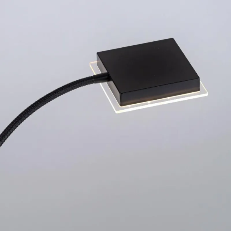 Luminaires Leuchten Direkt Lampadaire à vasque Leuchten-Direkt HANS LED Noir, 2 lumières* Éclairage Led