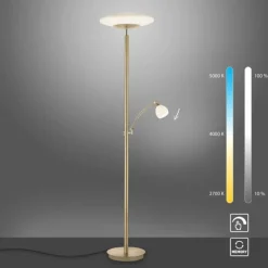 Luminaires Paul Neuhaus Lampadaire à vasque Paul Neuhaus TROJA LED Laiton, 1 lumière* Éclairage Led