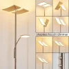 hofstein Lampadaire à vasque Thyolo LED Acier brossé, 2 lumières