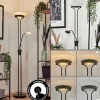 hofstein Lampadaire Biot LED Noir, 2 lumières