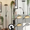 hofstein Lampadaire Biot LED Noir, 2 lumières