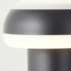 Luminaires Brilliant Lampadaire d'extérieur Brilliant Ilton LED Noir, 1 lumière