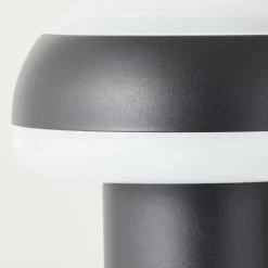 Luminaires Brilliant Lampadaire d'extérieur Brilliant Ilton LED Noir, 1 lumière