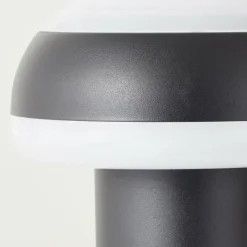 Luminaires Brilliant Lampadaire d'extérieur Brilliant Ilton LED Noir, 1 lumière