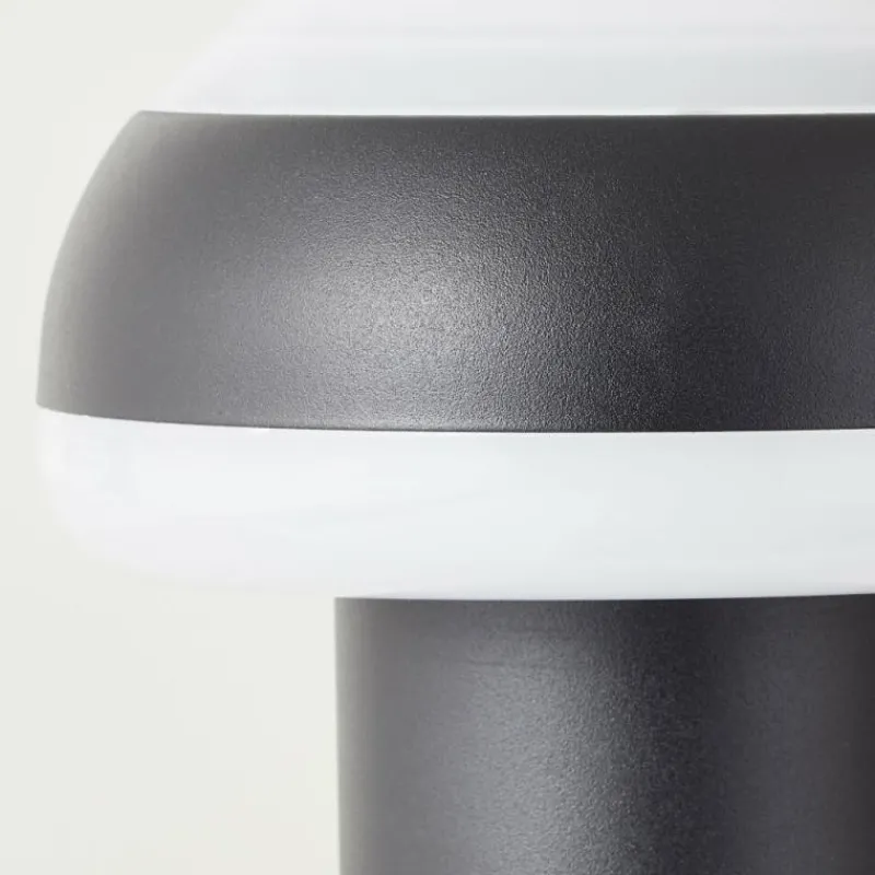 Luminaires Brilliant Lampadaire d'extérieur Brilliant Ilton LED Noir, 1 lumière