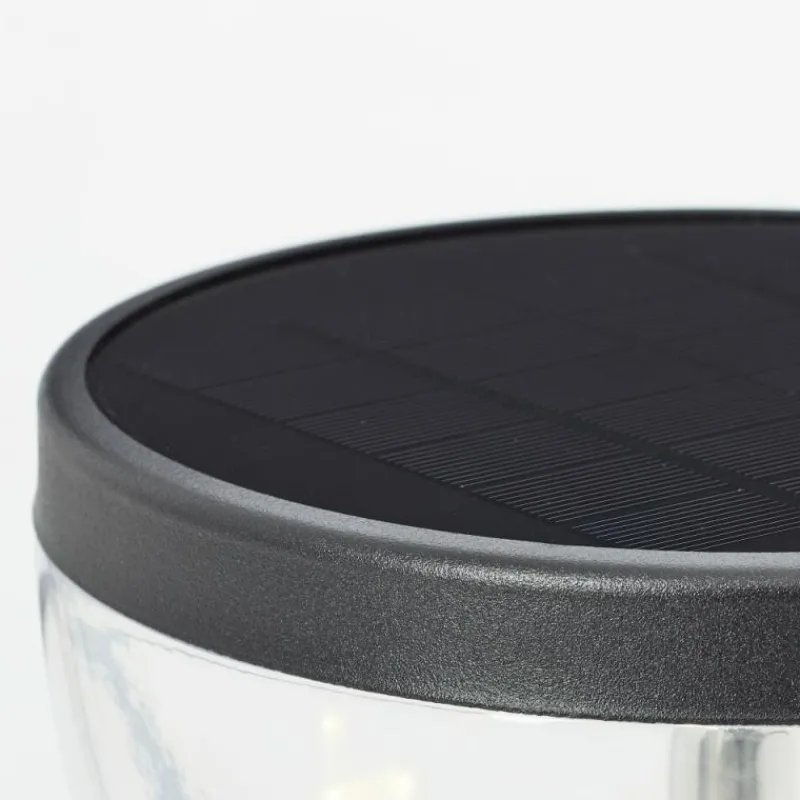 Luminaires Brilliant Lampadaire d'extérieur Brilliant Tulip LED Noir, 1 lumière, Détecteur de mouvement