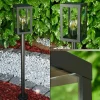 hofstein Lampadaire d'extérieur Caudry Noir, 1 lumière
