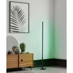 Luminaires Eglo Lampadaire Eglo PICACHA LED Noir, 1 lumière, Télécommandes, Changeur de couleurs* Lampadaires Et Lampes Sur Pied