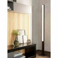 Luminaires Eglo Lampadaire Eglo-Leuchten SIMOLARIS-Z LED Noir, 1 lumière* Éclairage Led