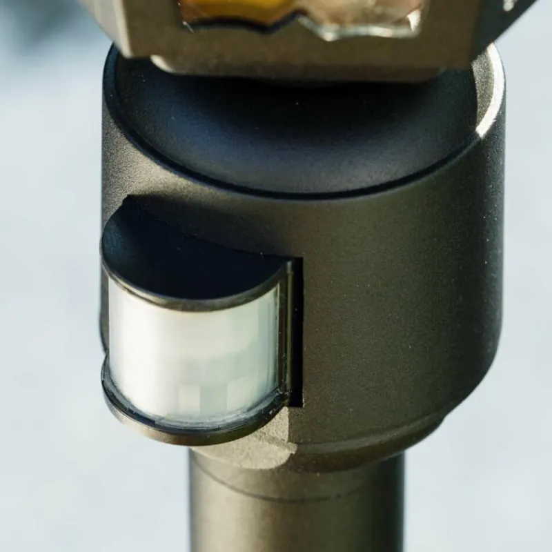 Luminaires Rustiques-hofstein Lampadaire extérieur Bristol Noir, 1 lumière, Détecteur de mouvement