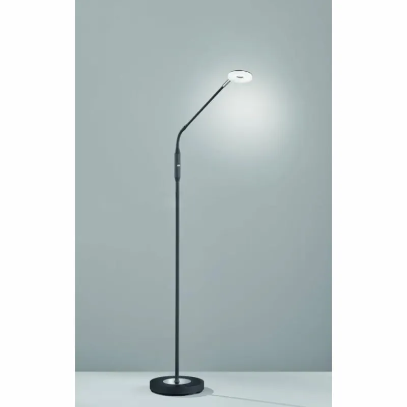 Luminaires Fischer & Honsel Lampadaire Fischer-Honsel Dent LED Noir, 1 lumière* Éclairage Led