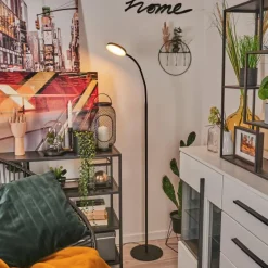 hofstein Lampadaire Haltia LED Noir, 1 lumière