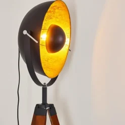 Lampes Dorées-hofstein Lampadaire Jupiter Bois foncé, 1 lumière