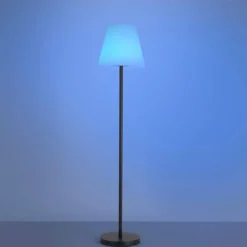 Luminaires Leuchten Direkt Lampadaire Leuchten Direkt HOLLY LED Noir, 1 lumière, Changeur de couleurs