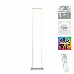 Luminaires Leuchten Direkt Lampadaire Leuchten-Direkt FELIX60 LED Acier brossé, 2 lumières, Télécommandes, Changeur de couleurs* Éclairage Led