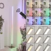 hofstein Lampadaire Minacar LED Nickel mat, 1 lumière, Télécommandes, Changeur de couleurs