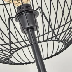 Lampes À Boules-hofstein Lampadaire Pampanillo Noir, 1 lumière