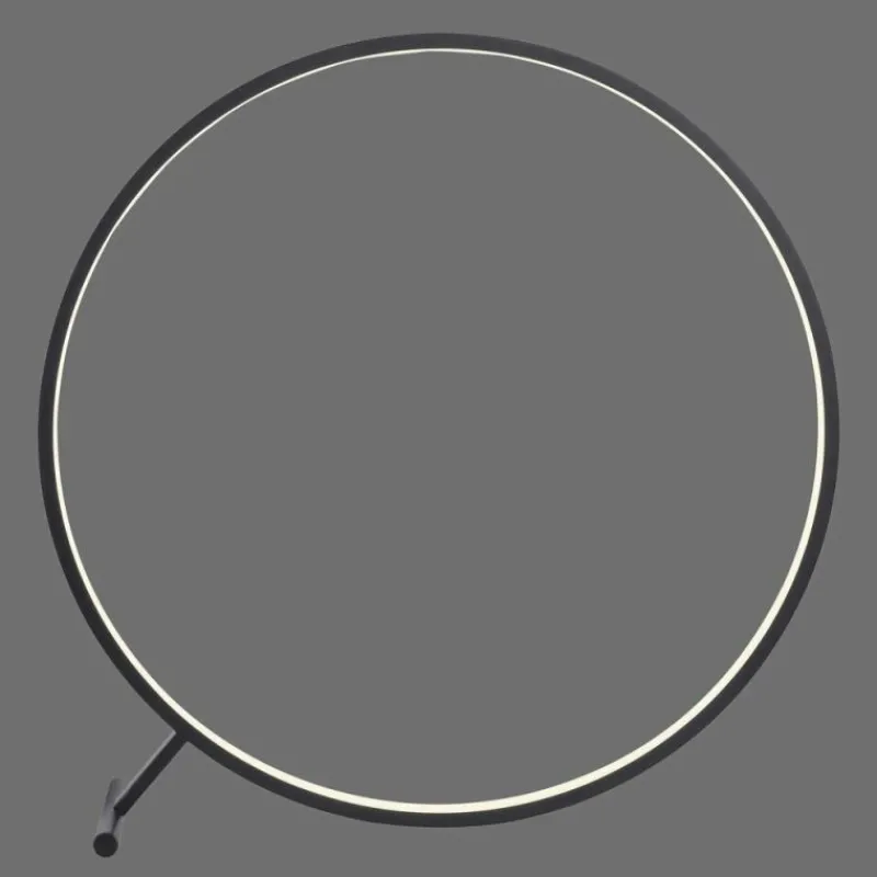 Luminaires Paul Neuhaus Lampadaire Paul Neuhaus HULA LED Noir, 1 lumière, Télécommandes* Éclairage Led