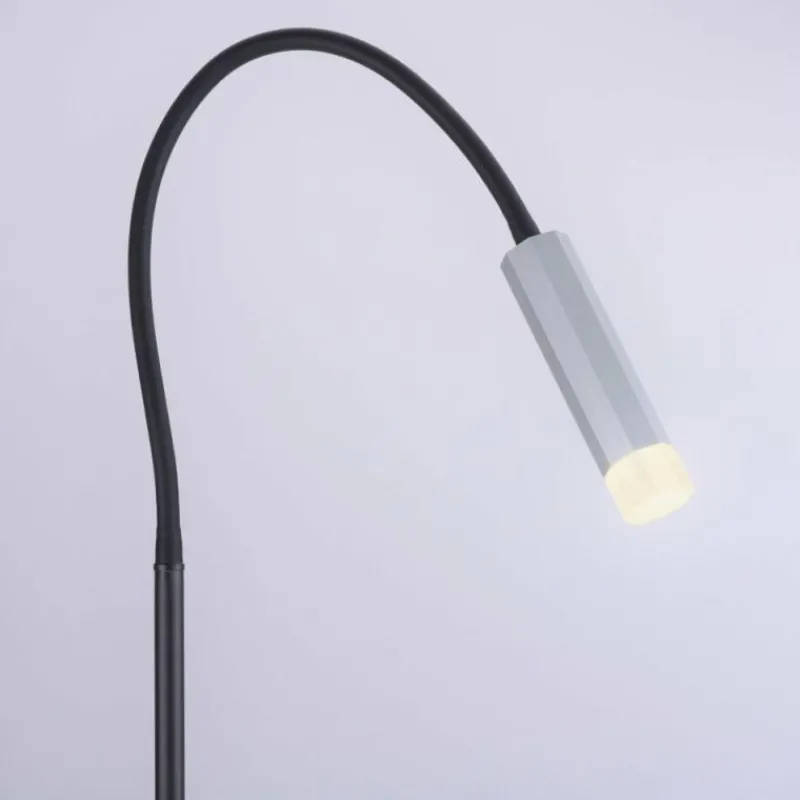 Luminaires Paul Neuhaus Lampadaire Paul Neuhaus PURE-GEMIN LED Aluminium, Noir, 1 lumière* Lampadaires Et Lampes Sur Pied