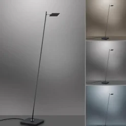 Luminaires Paul Neuhaus Lampadaire Paul Neuhaus PURE-MIRA LED Noir, 1 lumière, Télécommandes* Éclairage Led