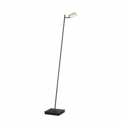 Luminaires Paul Neuhaus Lampadaire Paul Neuhaus PURE-MIRA LED Noir, 1 lumière, Télécommandes* Éclairage Led