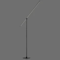 Luminaires Paul Neuhaus Lampadaire Paul Neuhaus PURE-GRAFO LED Noir, 1 lumière* Éclairage Led