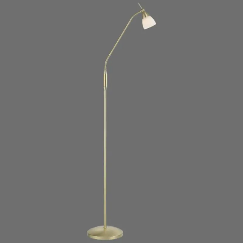 Luminaires Paul Neuhaus Lampadaire Paul Neuhaus PINO LED Laiton, 1 lumière