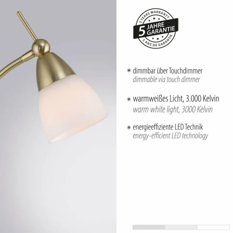 Luminaires Paul Neuhaus Lampadaire Paul Neuhaus PINO LED Laiton, 1 lumière