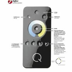 Paul Neuhaus Q-Serie Lampadaire Paul Neuhaus Q-ROSA LED Acier inoxydable, 1 lumière, Télécommandes