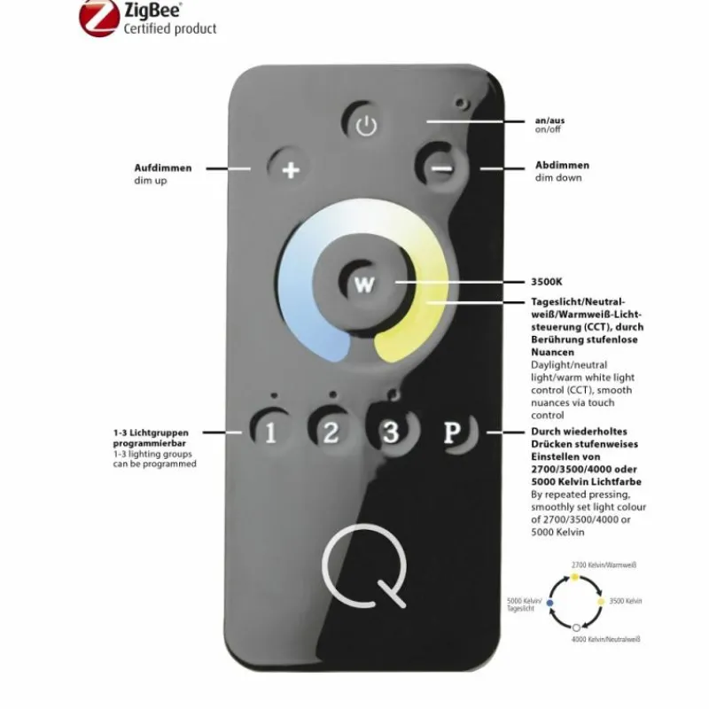 Paul Neuhaus Q-Serie Lampadaire Paul Neuhaus Q-ROSA LED Acier inoxydable, 1 lumière, Télécommandes