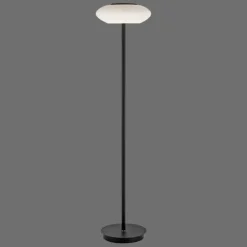 Paul Neuhaus Q-Serie Lampadaire Paul Neuhaus Q-ETIENNE LED Noir, 1 lumière, Télécommandes