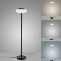Paul Neuhaus Q-Serie Lampadaire Paul Neuhaus Q-ETIENNE LED Noir, 1 lumière, Télécommandes