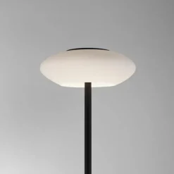 Paul Neuhaus Q-Serie Lampadaire Paul Neuhaus Q-ETIENNE LED Noir, 1 lumière, Télécommandes