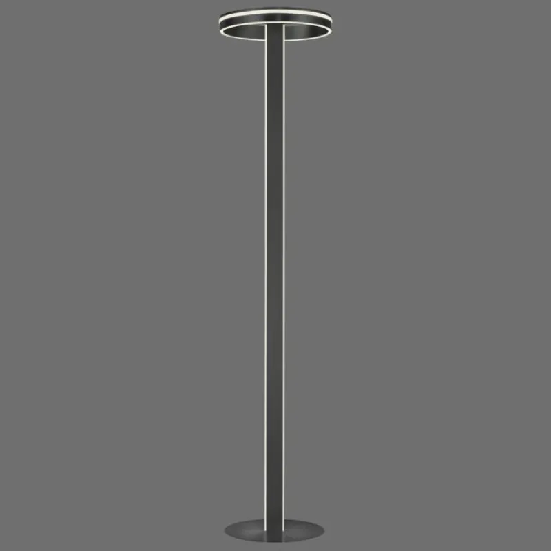 Paul Neuhaus Q-Serie Lampadaire Paul-Neuhaus Q-VITO LED Anthracite, 3 lumières, Télécommandes