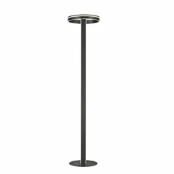 Paul Neuhaus Q-Serie Lampadaire Paul-Neuhaus Q-VITO LED Anthracite, 3 lumières, Télécommandes