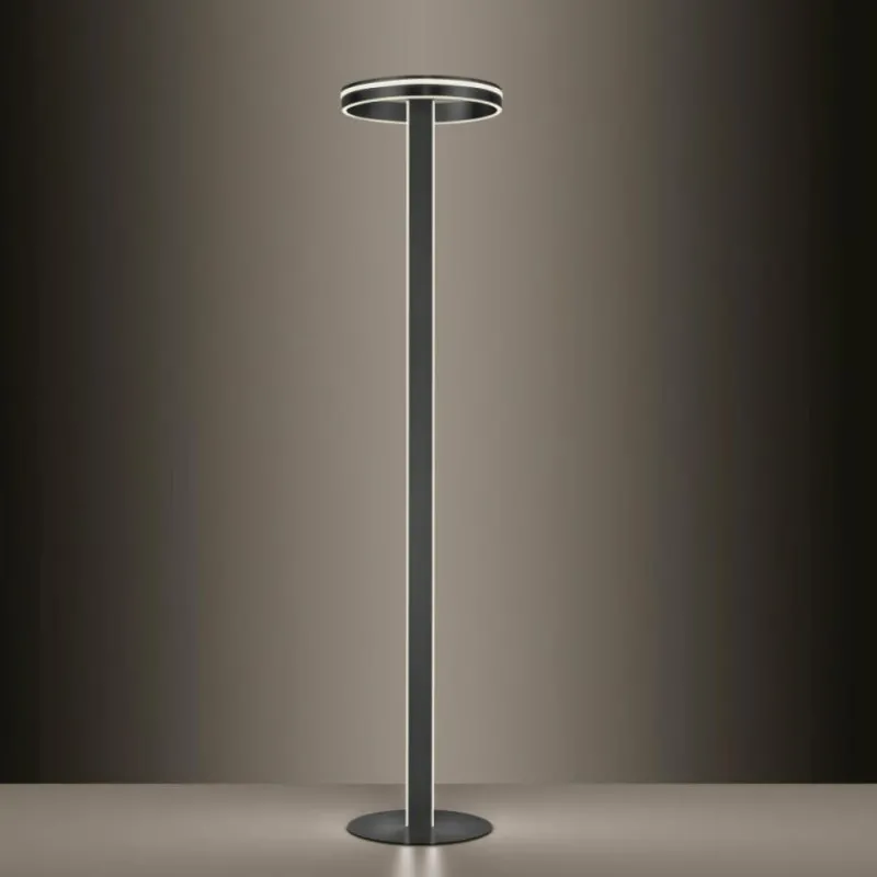 Paul Neuhaus Q-Serie Lampadaire Paul-Neuhaus Q-VITO LED Anthracite, 3 lumières, Télécommandes