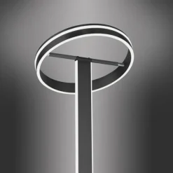 Paul Neuhaus Q-Serie Lampadaire Paul-Neuhaus Q-VITO LED Anthracite, 3 lumières, Télécommandes