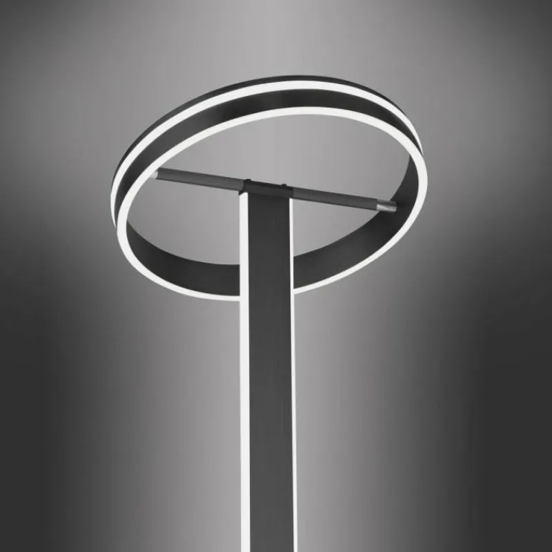 Paul Neuhaus Q-Serie Lampadaire Paul-Neuhaus Q-VITO LED Anthracite, 3 lumières, Télécommandes