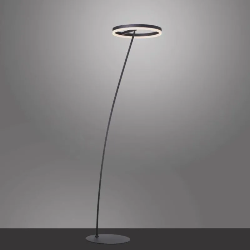 Luminaires Paul Neuhaus Lampadaire Paul-Neuhaus TITUS Anthracite, 1 lumière* Lampadaires Et Lampes Sur Pied
