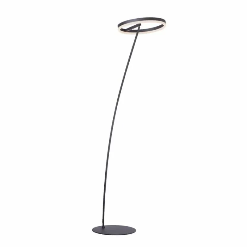 Luminaires Paul Neuhaus Lampadaire Paul-Neuhaus TITUS Anthracite, 1 lumière* Lampadaires Et Lampes Sur Pied