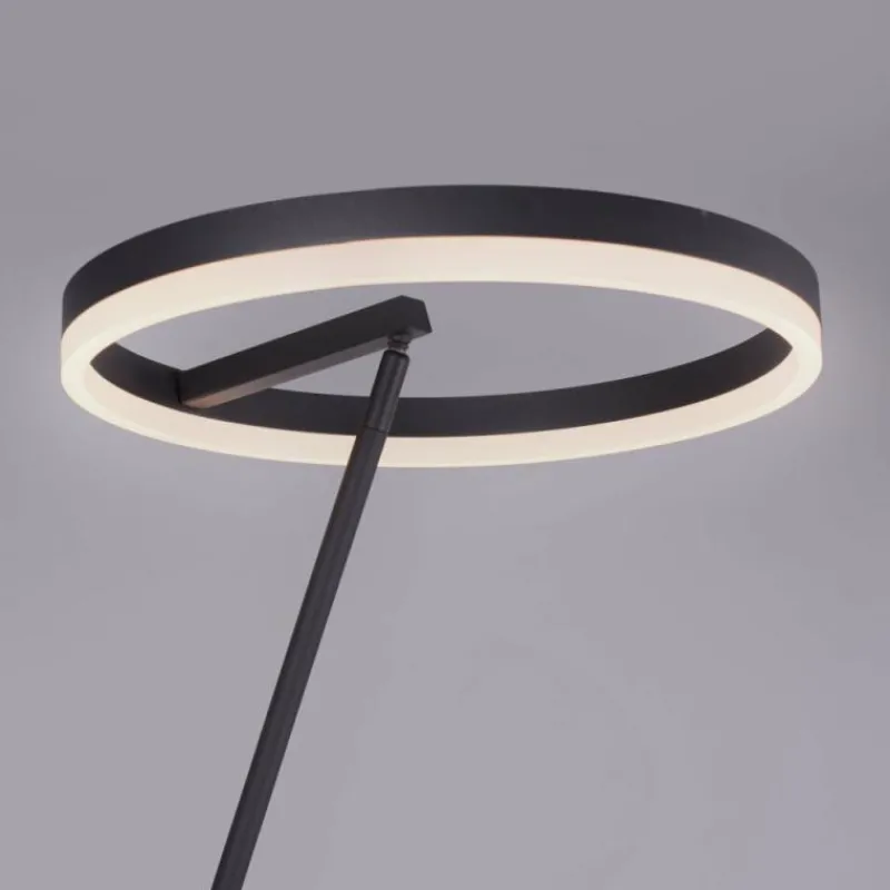 Luminaires Paul Neuhaus Lampadaire Paul-Neuhaus TITUS Anthracite, 1 lumière* Lampadaires Et Lampes Sur Pied