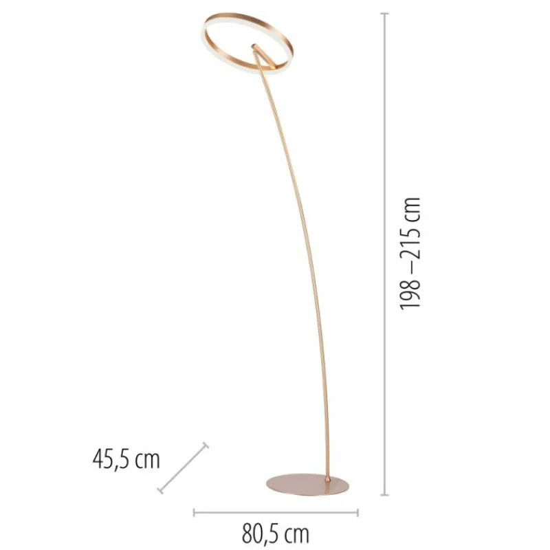 Luminaires Paul Neuhaus Lampadaire Paul-Neuhaus TITUS LED Laiton, 1 lumière* Lampadaires Et Lampes Sur Pied