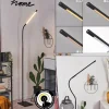 hofstein Lampadaire Reuland LED Noir, 1 lumière