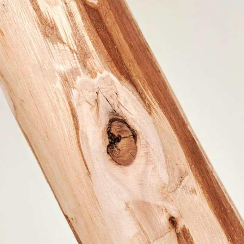 Lampes En Tissu-hofstein Lampadaire Soungou Écru, Noir, 1 lumière